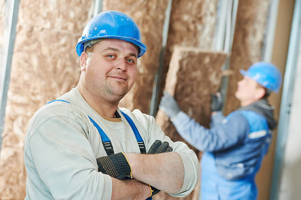 Best Insulation Removal  in Neenah, WI