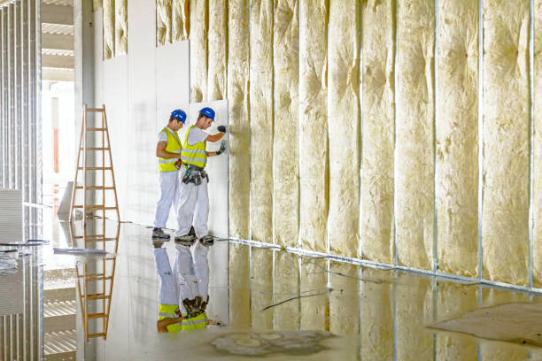 Best Insulation Replacement Services  in Neenah, WI
